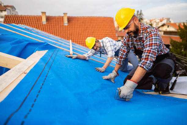 Best Storm Damage Roof Repair  in Zelienople, PA